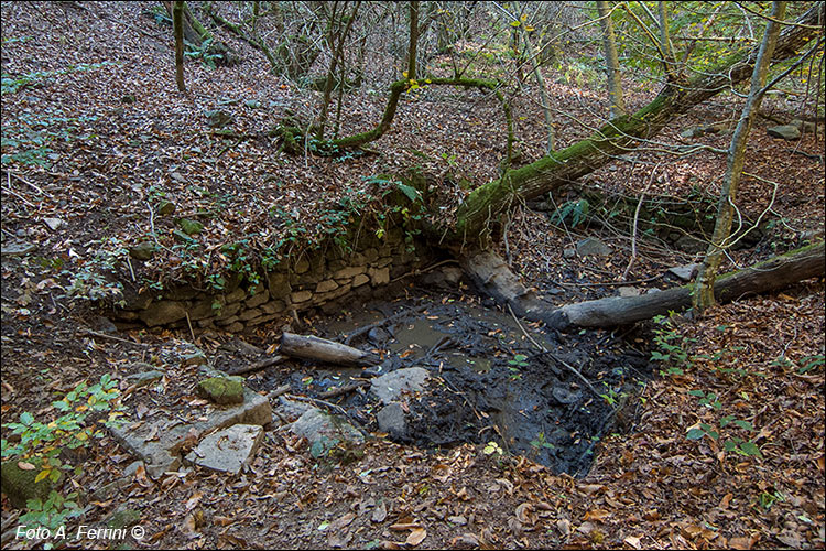 Salto della pecora