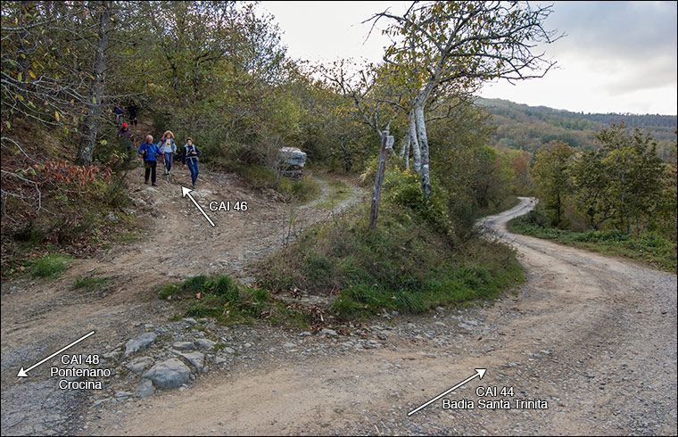 Arrivo a Pontenano