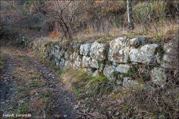 Castellaccio di Pontenano