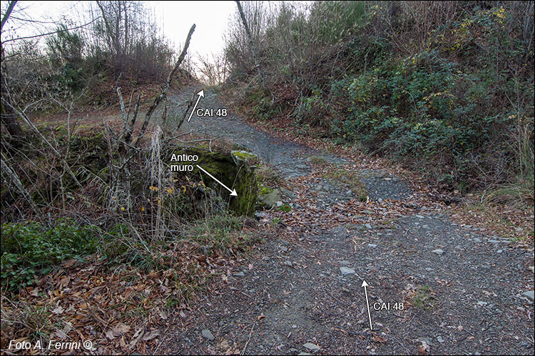 Fosso della Villa, Pontenano