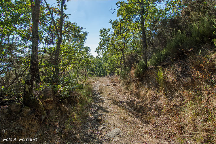 CAI 41 verso San Giustino