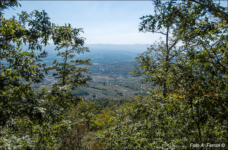 San Giustino Valdarno