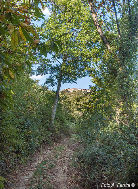 In vista di Pontenano