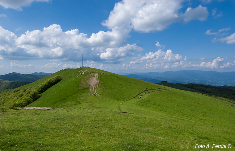 Poggio Pianellaccio