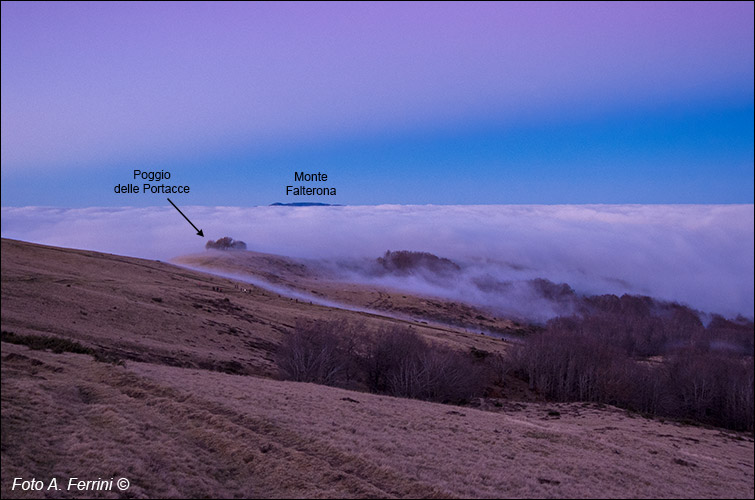 Pratomagno e nebbia