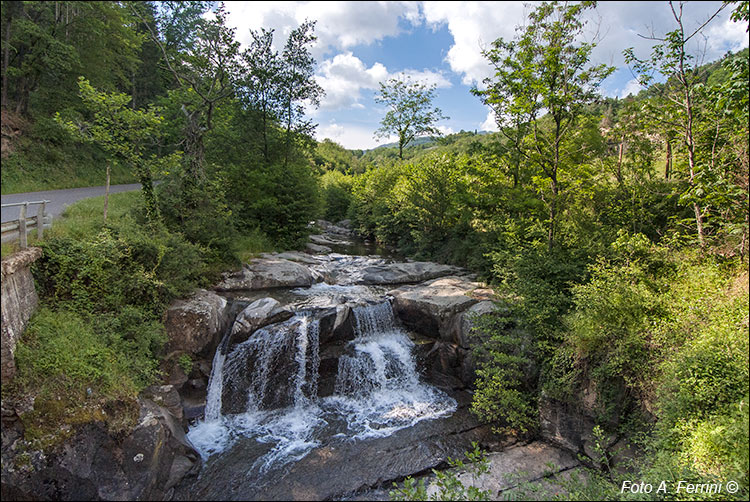 Torrente Ciuffenna