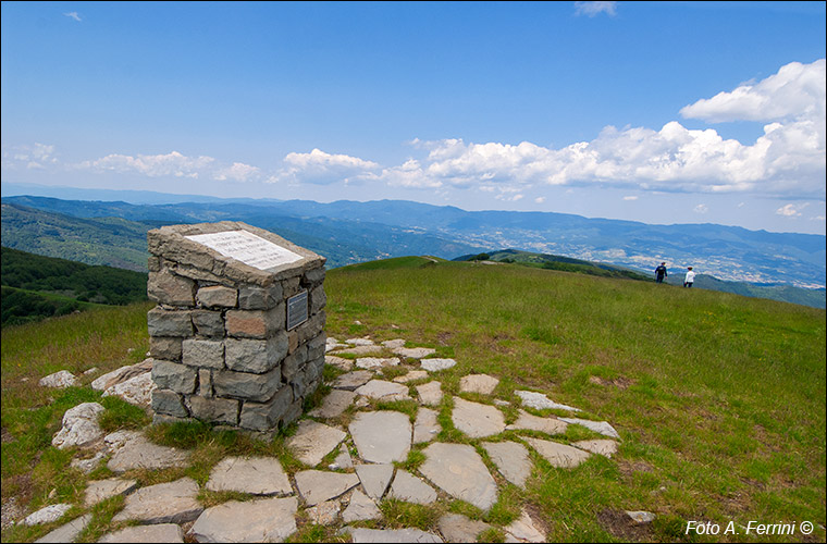 Cippo per Hinkler, Pratomagno