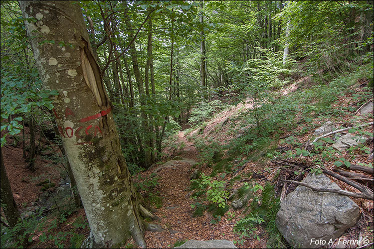 Sentiero verso Rocca Ricciarda