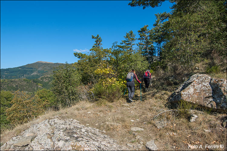 CAI 22 Trappola Bottigliana