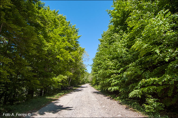 Panoramica del Pratomagno