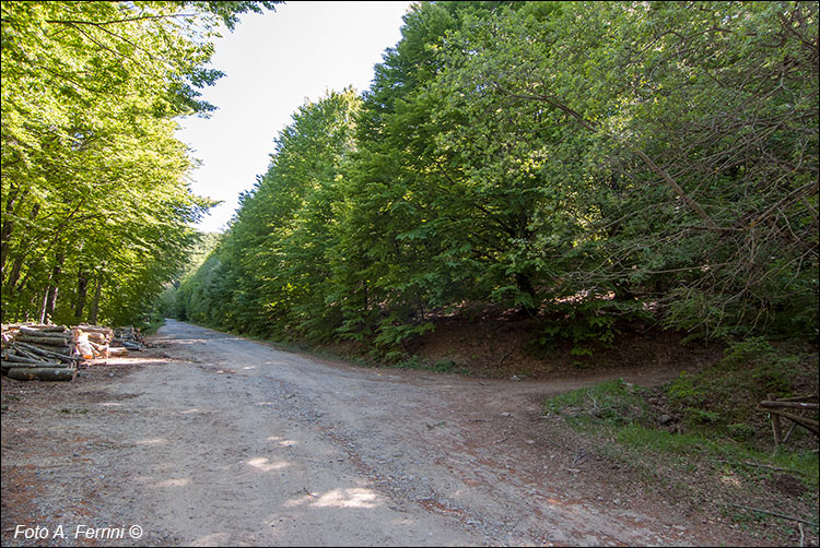 Panoramica del Pratomagno e CAI 54