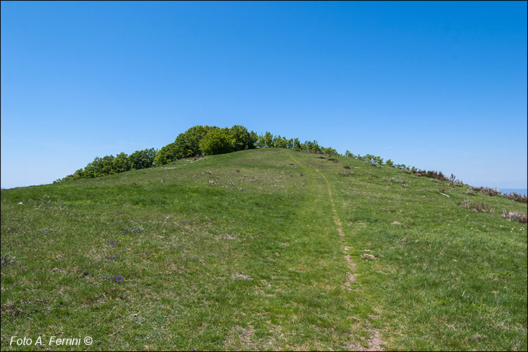 Poggio Uomo di Sasso