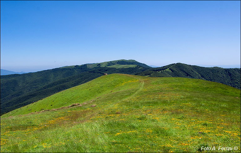 Poggio Uomo di Sasso