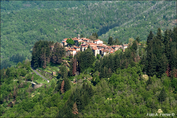 Panorama su Trappola