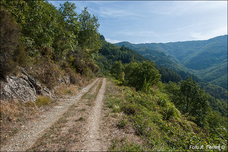 CAI 24 presso Trappola