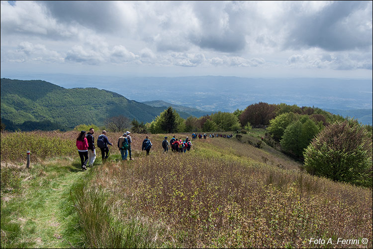 CAI 22 verso Trappola