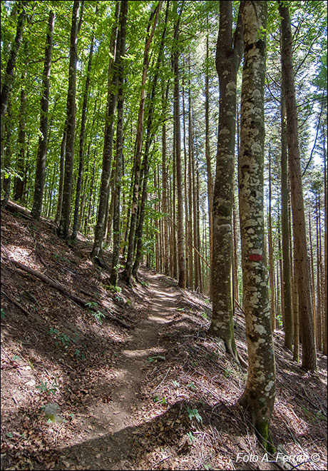 CAI 9A sul Monte Secchieta