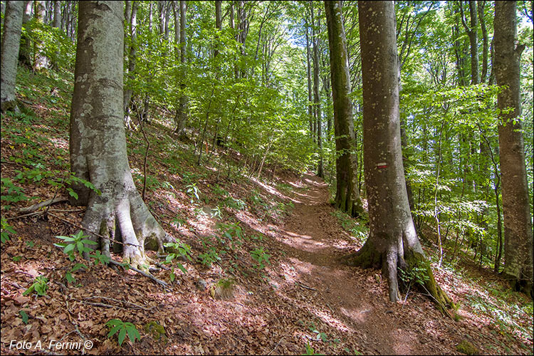 CAI 9 sul Monte Secchieta