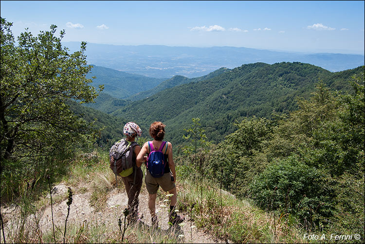 Valle del Torrente Resco